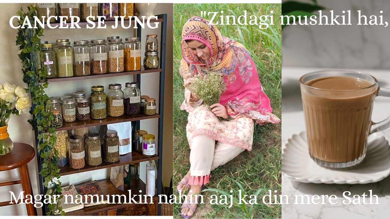 Fight against Cancer and Home Responsibility | Monthly Grocery & Kitchen Routine | Real Life of S...