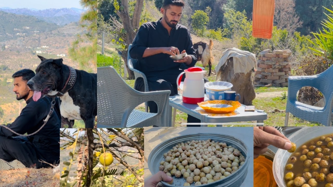 Again Serch for ￼gooseberry | Desi food