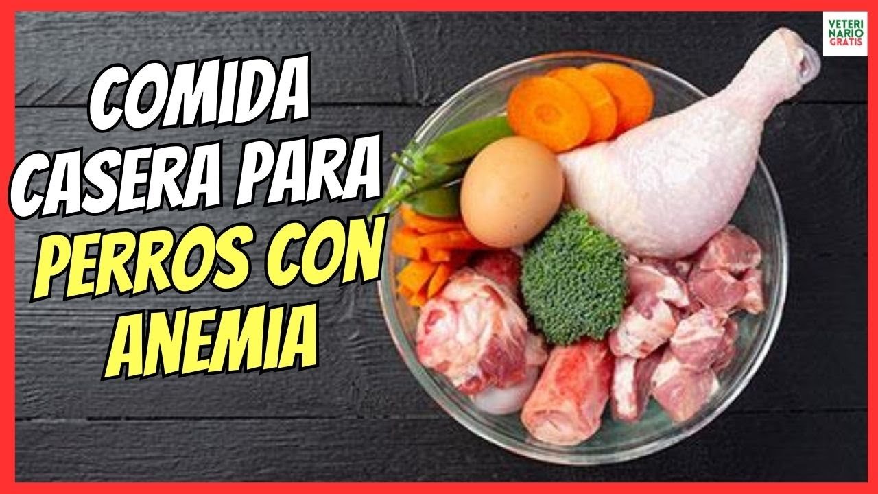 🐶 COMIDA CASERA PARA PERROS CON ANEMIA 🐶 (ALIMENTOS CON M&Aacute;S HIERRO Y VITAMINA C)