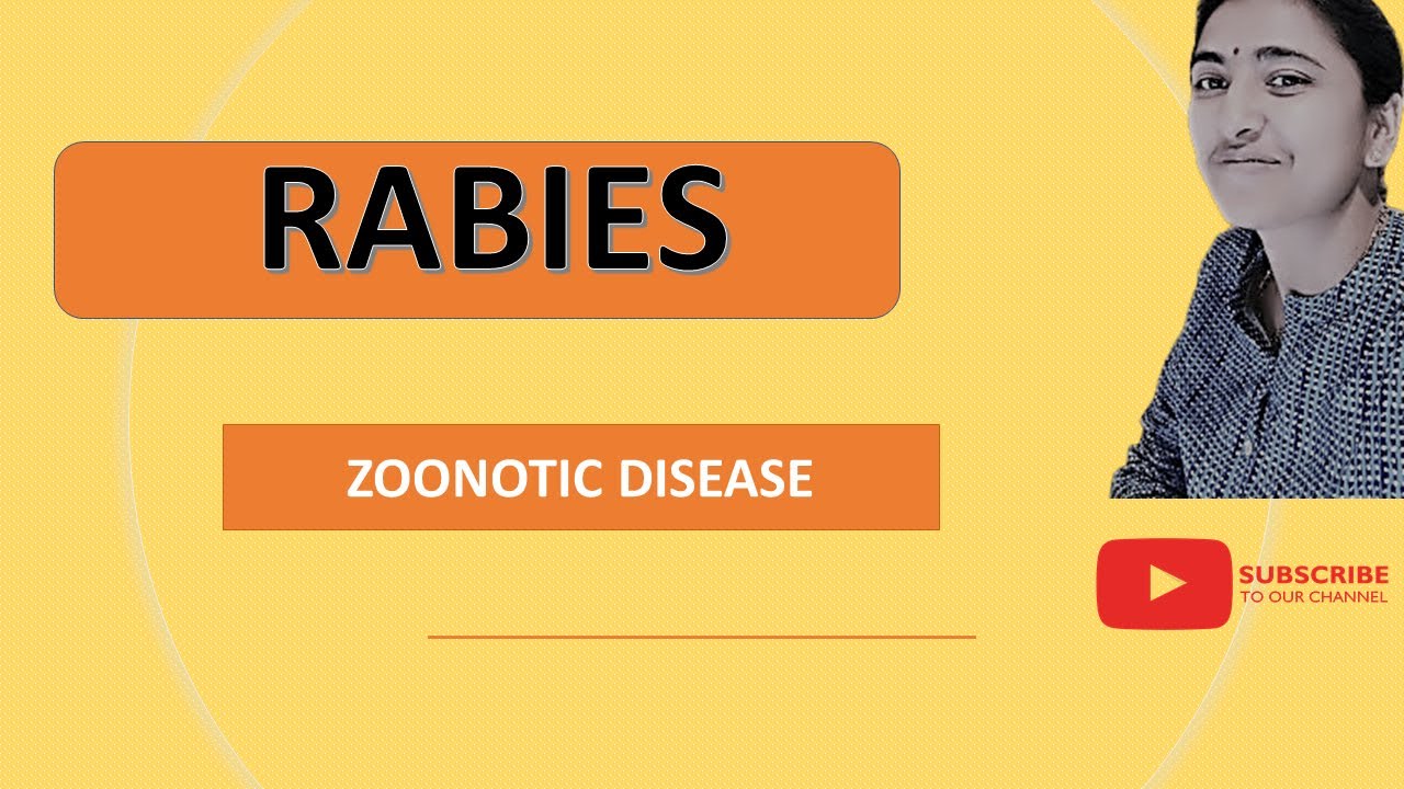 MEDICAL MICROBIOLOGY  II RABIES II ZOONOTIC  DISEASE
