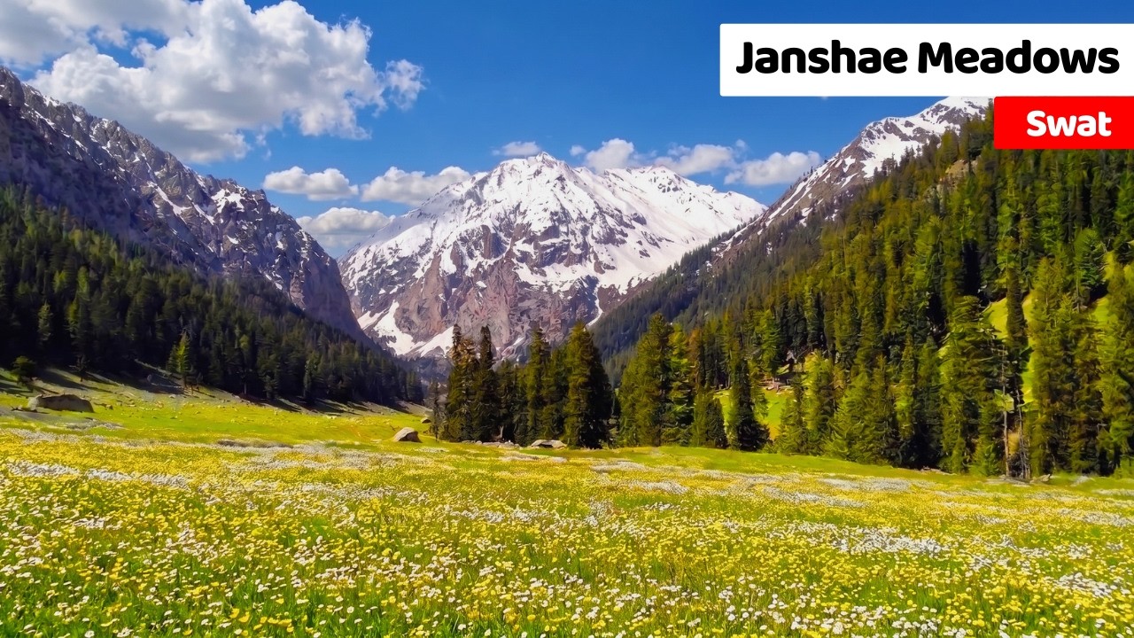 Janshai Meadows Kalam | Hidden Paradise of Swat Valley | Complete Travel Guide