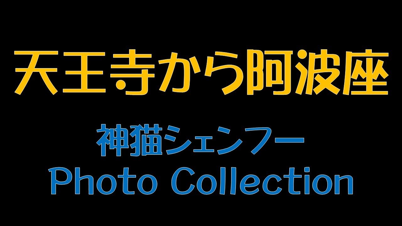 天王寺から阿波座　神猫シェンフー　Photo Collection