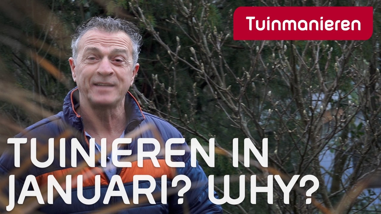 Tuinieren in januari. Wat valt er te doen in je tuin? | Tuinmanieren