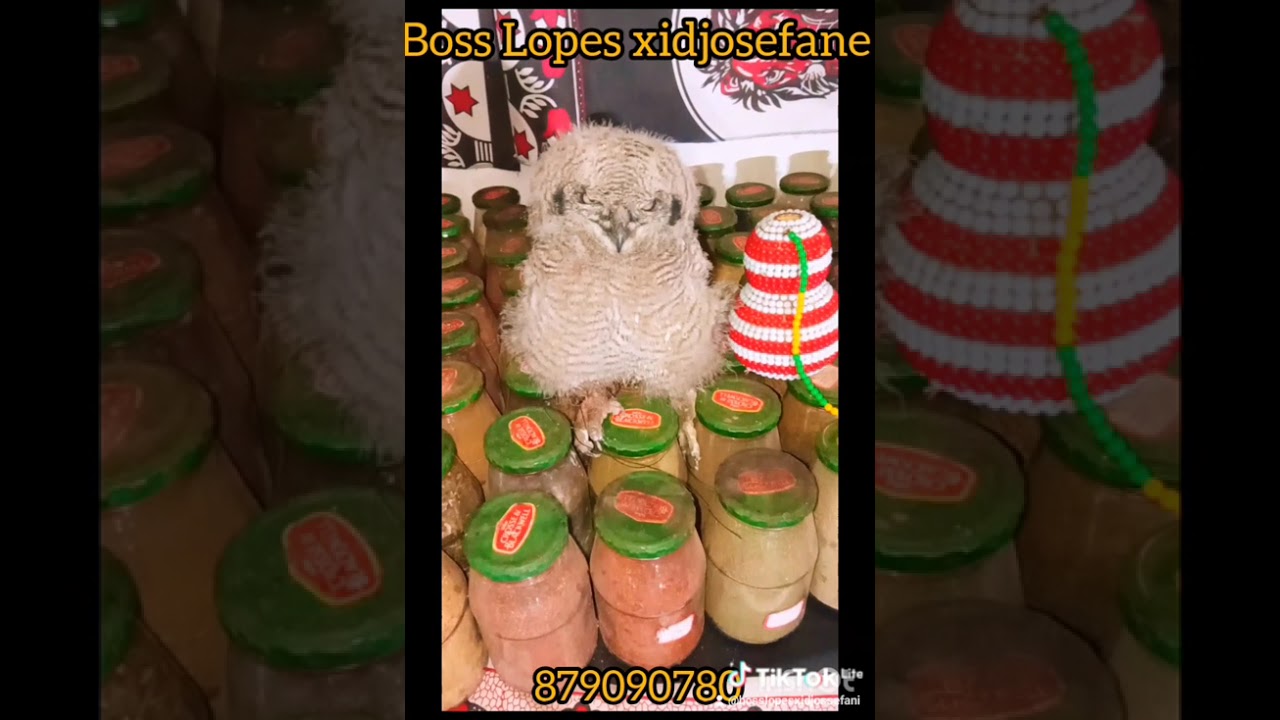 @BosslopesXidjosefane