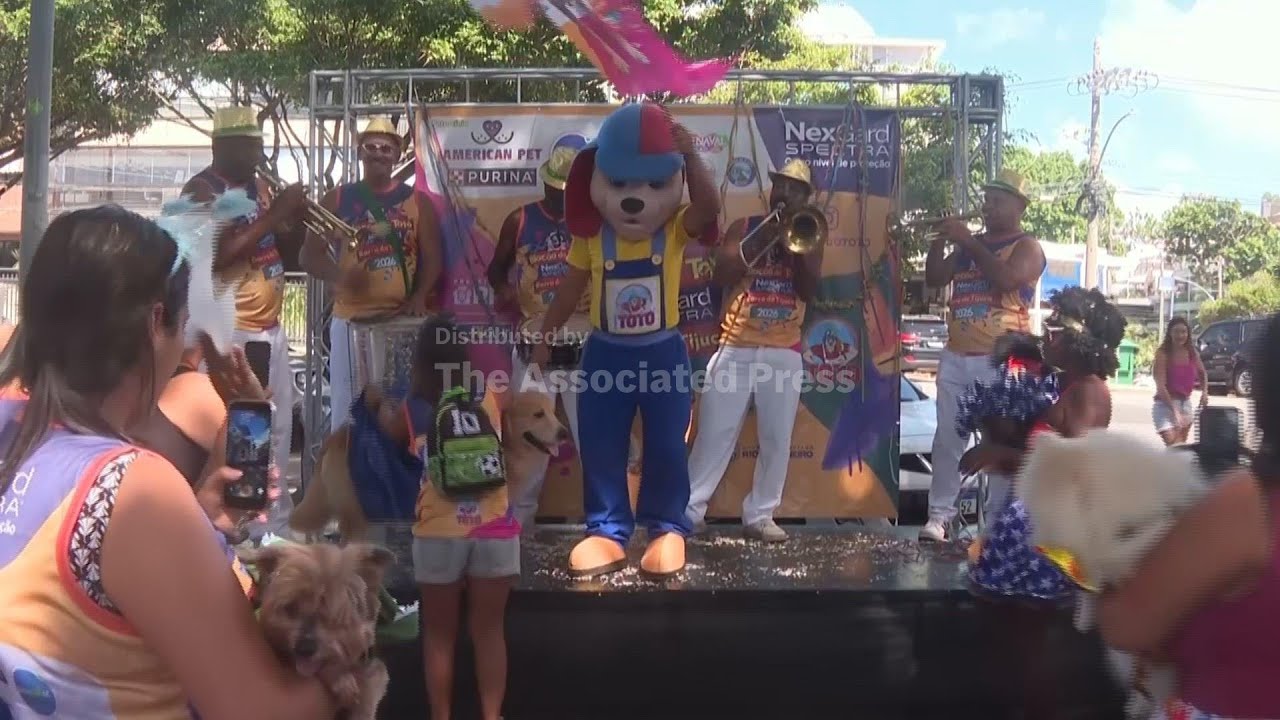 Rio Carnival street party dogs parade as humans protest against pet killers