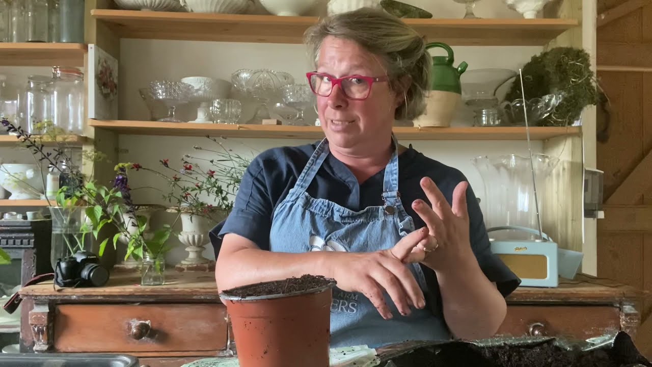 Taking cuttings for free plants