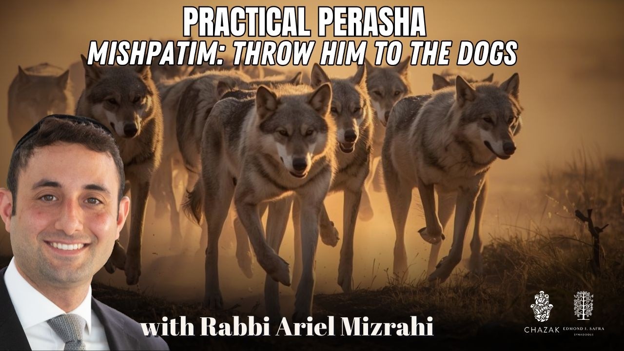 Мишпатим: Бросьте его на растерзание собакам.