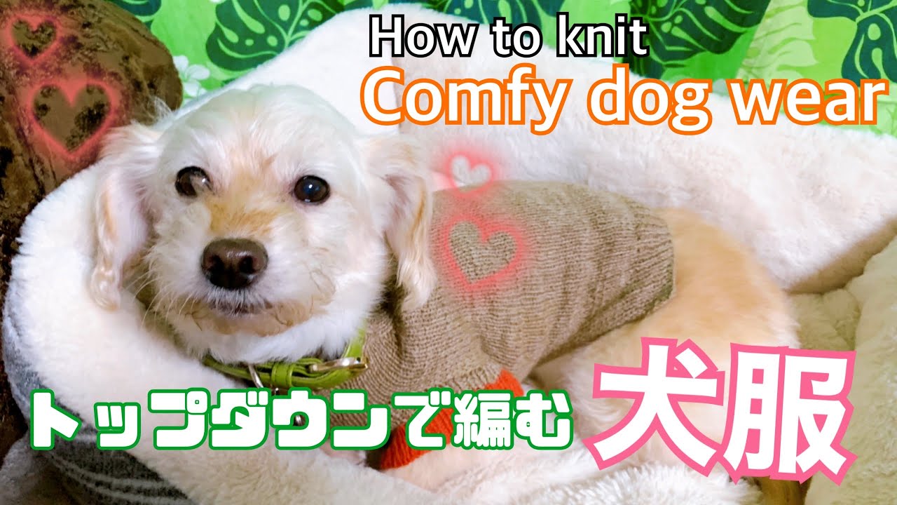 【棒針】Comfy Dog wear -トップダウンで編む犬服(とじはぎなし)