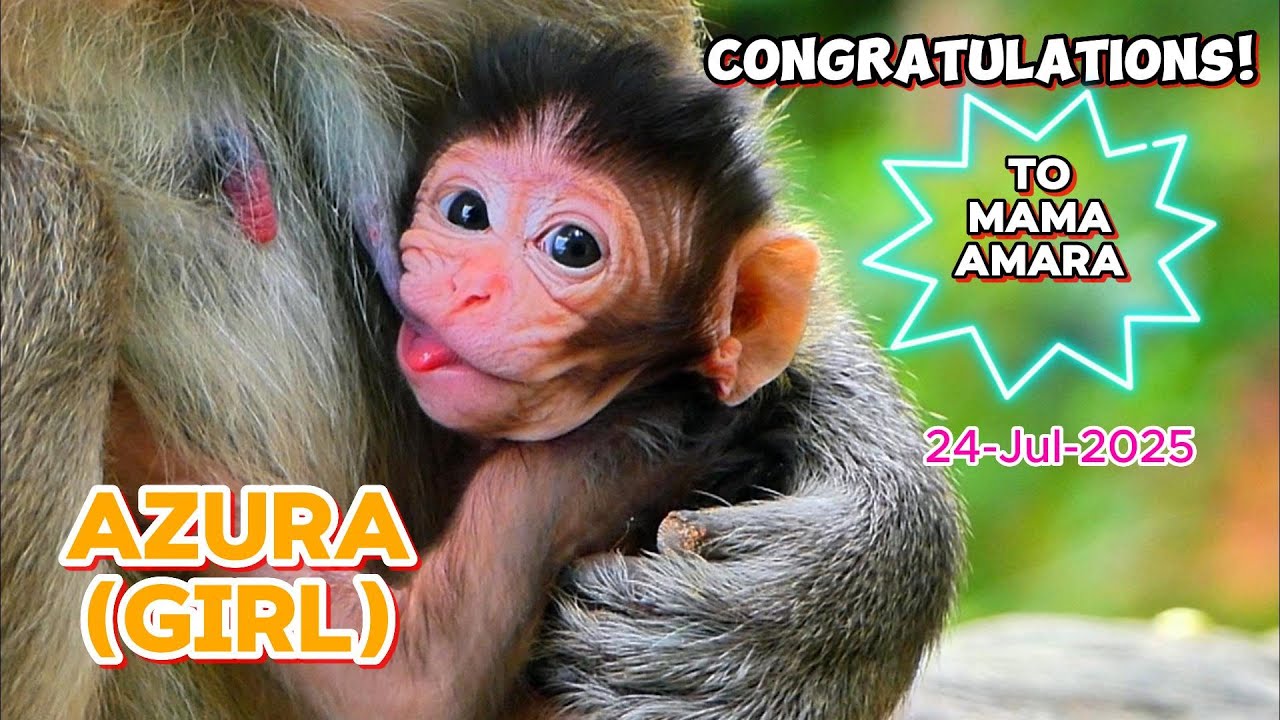Amara Becomes a Mom Again! Look at Her Sweet Baby Azura (girl),@monkeyscorner