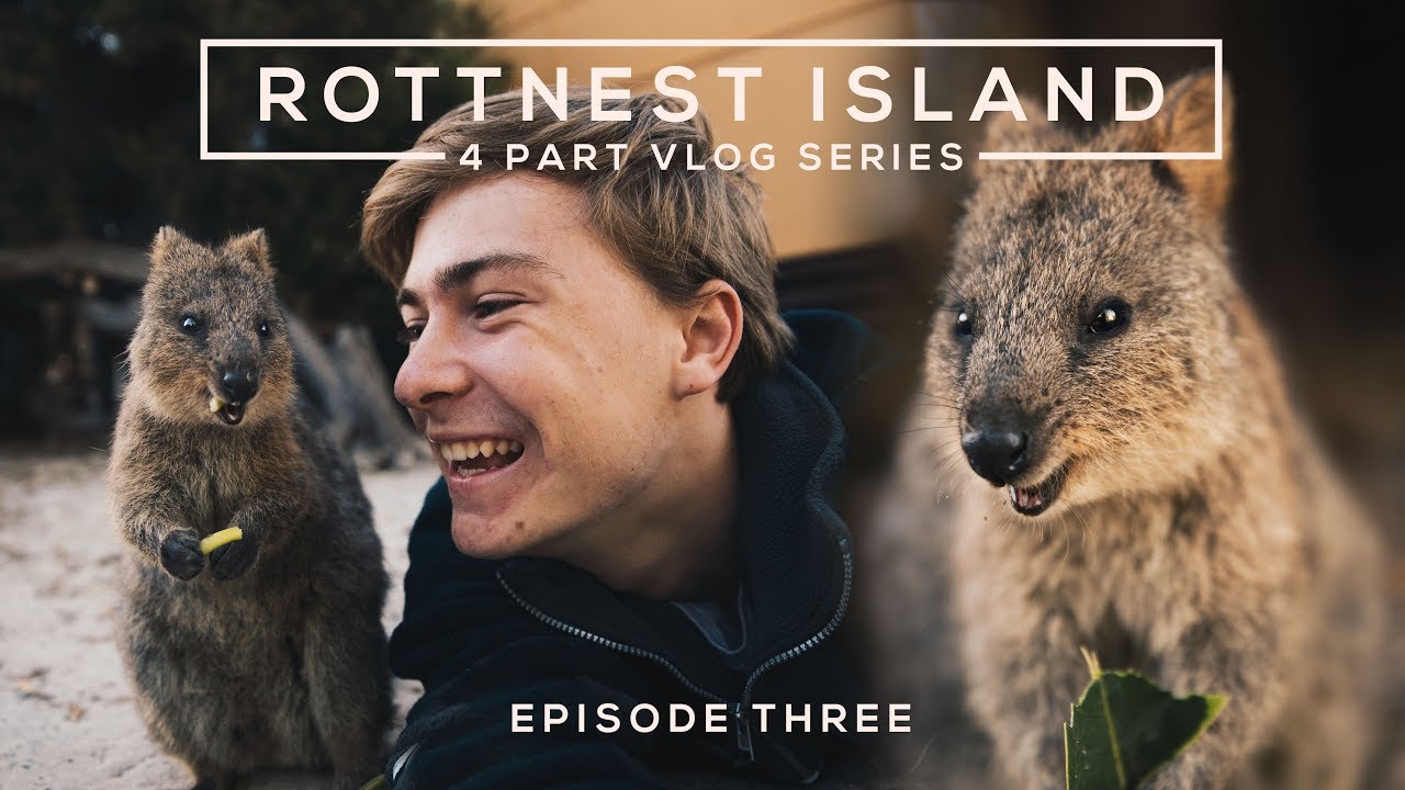 QUOKKA SELFIES - Rottnest Island ft. Daxon