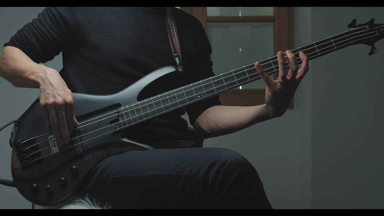 TesseracT - Amos Williams - Juno - Live In The Lockdown (bass only video cut)