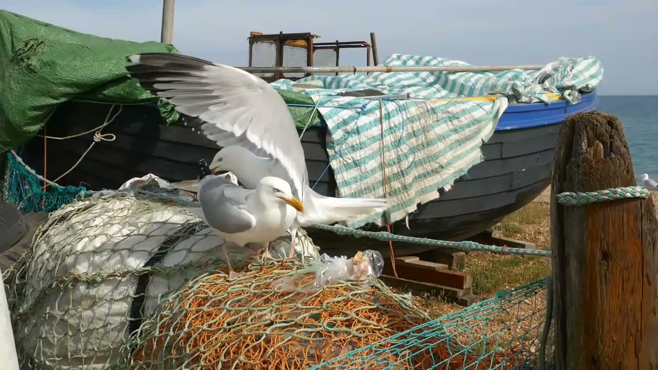 Hastings Fishermen going to sea