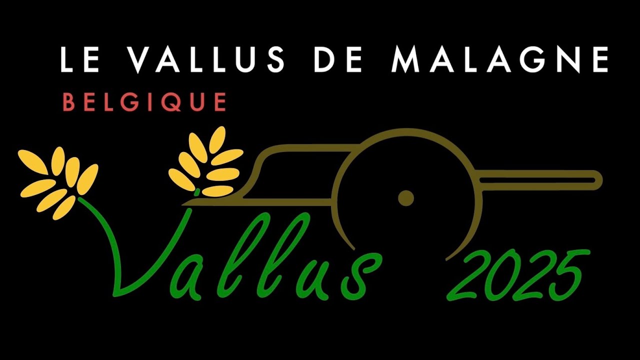 Le Vallus de Malagne - #archéologie expérimentale - Projet Vallus 2025