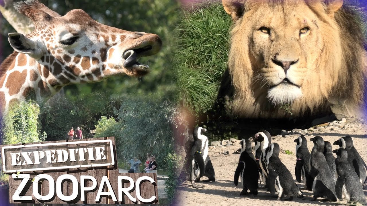 ZOO OVERLOON Op expeditie in 2020