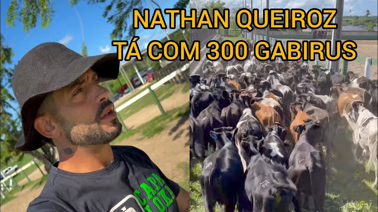 NATHAN QUEIROZ TÁ COM 300 GABIRUS PRÓ BOLÃO E MANDA RECADO 😳😳😳