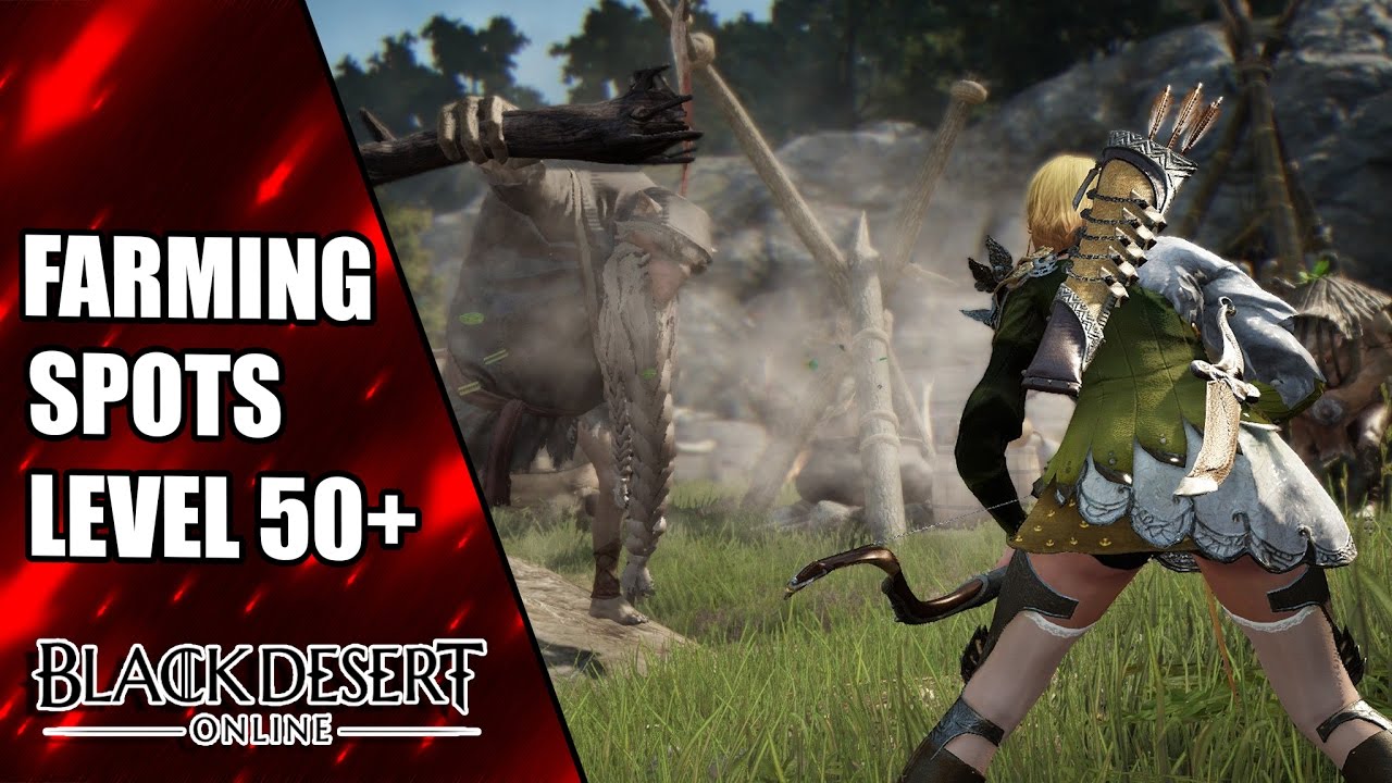 Level 50 Farm Spots für Anfänger -  Black Desert Online
