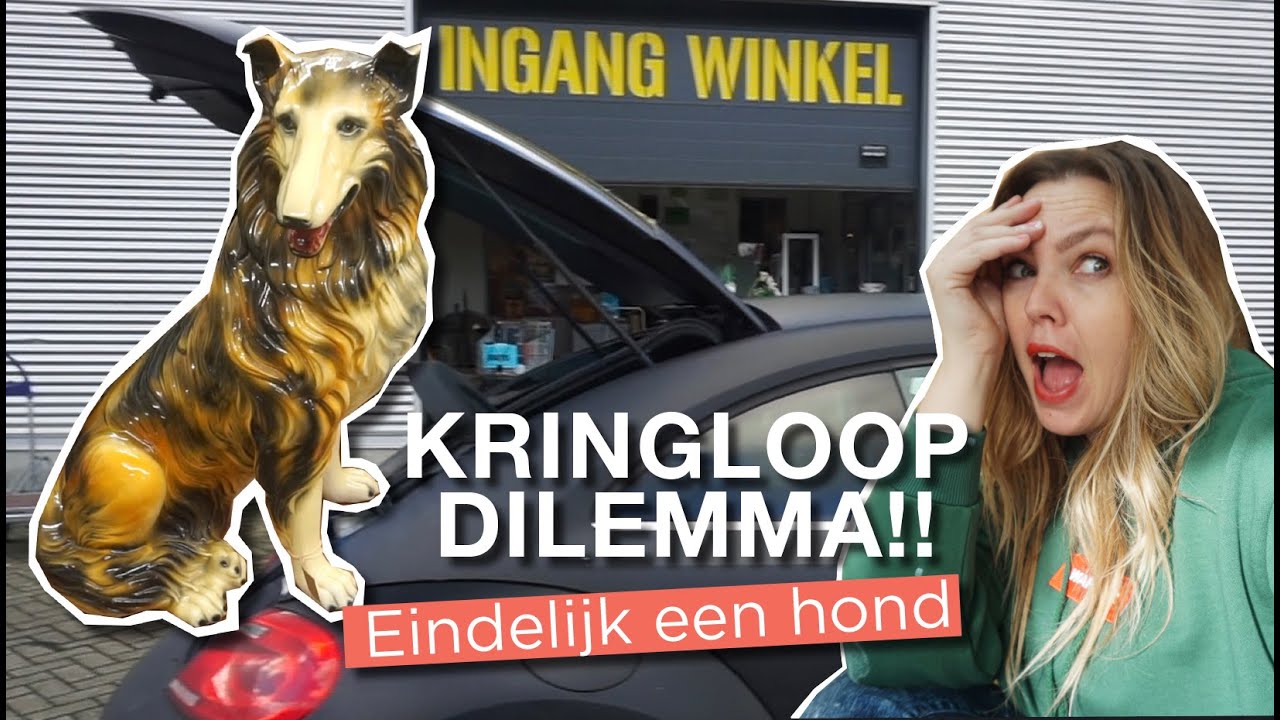 BESTE AANKOPEN | BELGIE | KRINGLOOP | NIEUWE HUIS DEEL 2 | SHNS