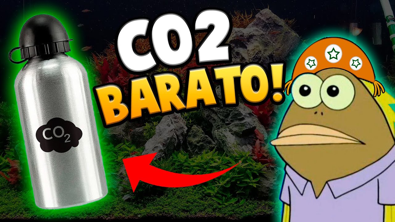 Fiz um Mini Cilindro de Co2 Caseiro para Aquário Pequeno