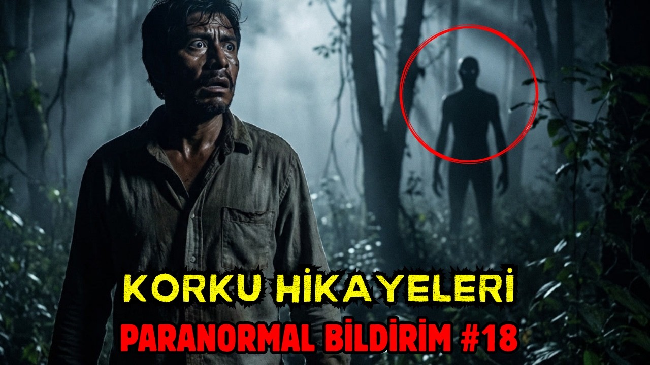Siyah Ekran ve Yağmur Sesleriyle Gerçek Korku Hikâyeleri | Uyku için ASMR #8