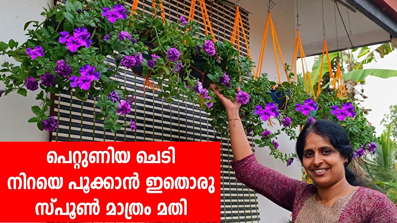 ഇങ്ങനെ ചെയ്തപ്പോൾ ഒത്തിരി പൂക്കൾ വിരിഞ്ഞു 😮 ♥️