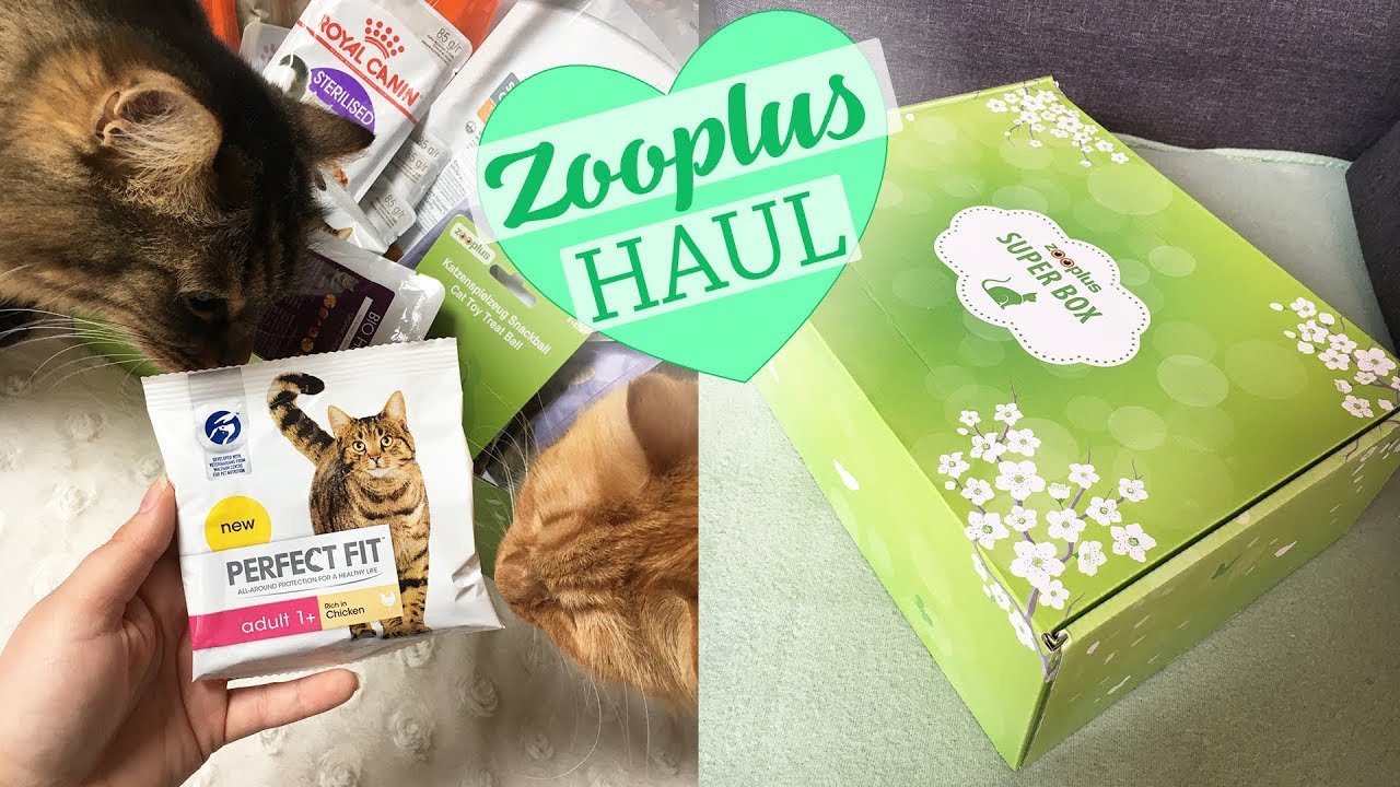 Cica Haul 2018 Április - Tavaszi macska meglepetés box (superbox) - zooplus!
