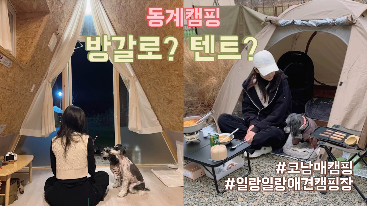 동계니까 텐트 대신 방갈로 캠핑 어때? - 칠곡 #일랑일랑애견캠핑앤카라반 - 일랑방갈로 1호