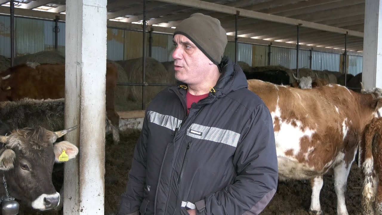 - GRMEČKA ZIMA NA FARMI GRMEČ Sanela Šulića 2025