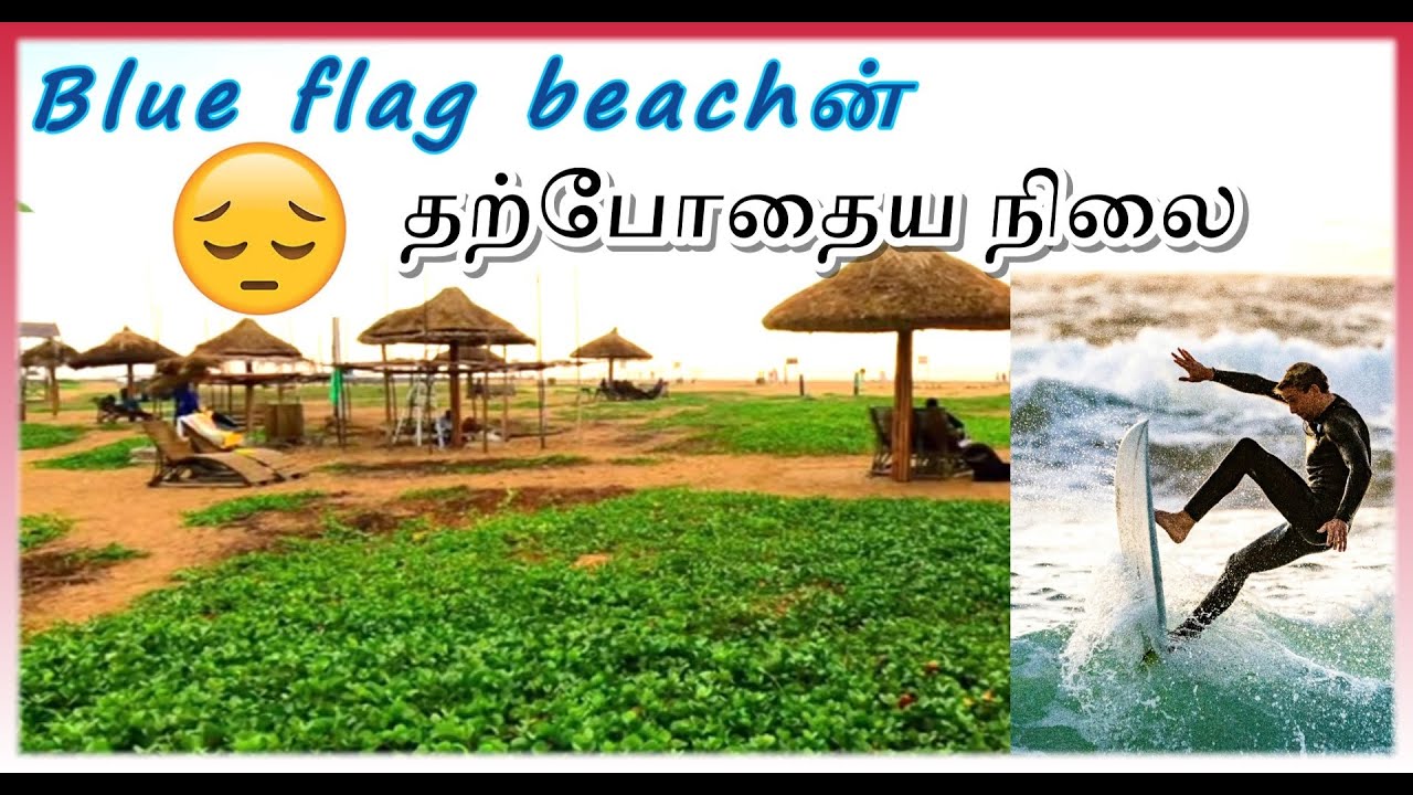 Chennai ECR Blue Flag Beach 😱🔥 தற்போதைய நிலை 😱 #trending #travel #ecr #chennai