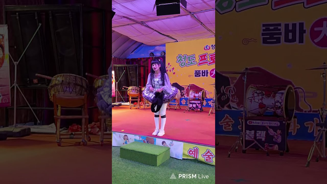 창도 소싸움 경기장에 소는 없고ㅡ천사모 ㅡ