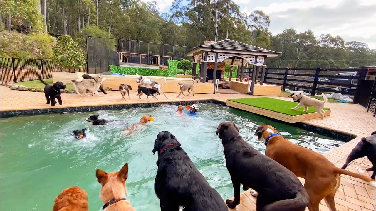 Friday at the farm