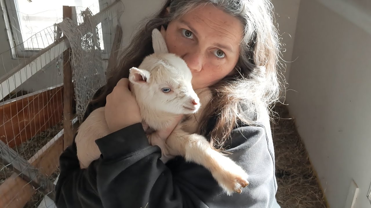 Announcing the goat kids names part 2
