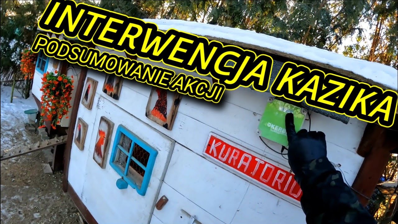 #dog 🐕 ❄️ Zimowa interwencja - Tam gdzie zamarzają psy - Podsumowanie akcji.