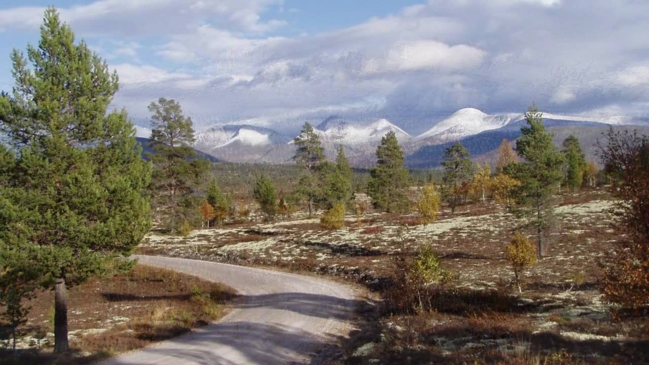 Rendalen
