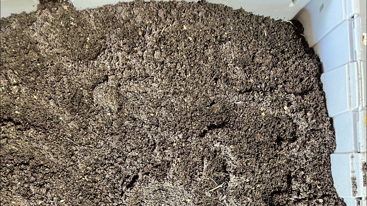 How to RUN (Harvest) YOUR WORM CASTINGS! Bonus: How to make a vermicompost or compost sifter!