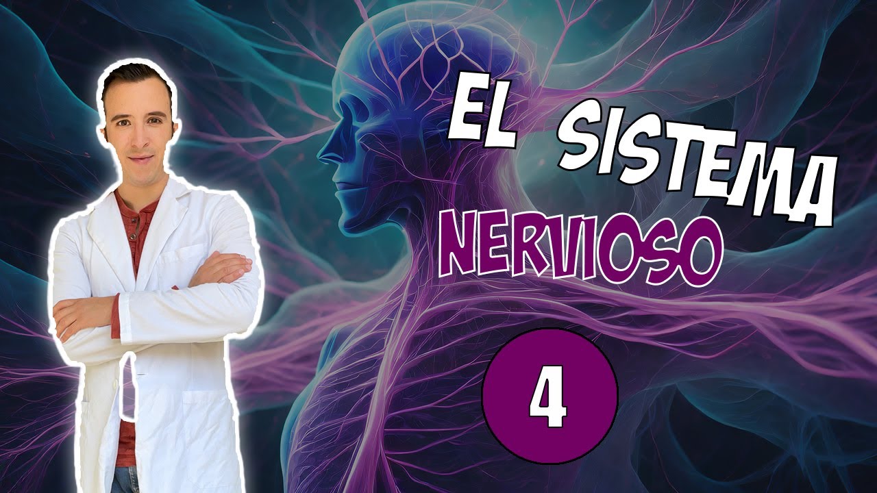 04. Introducción al Sistema Nervioso