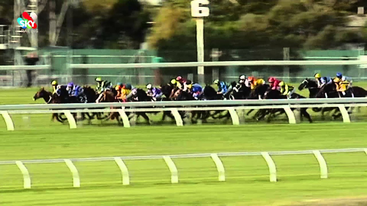 Smokin' Joey storms home in The Goodwood at Morphetville