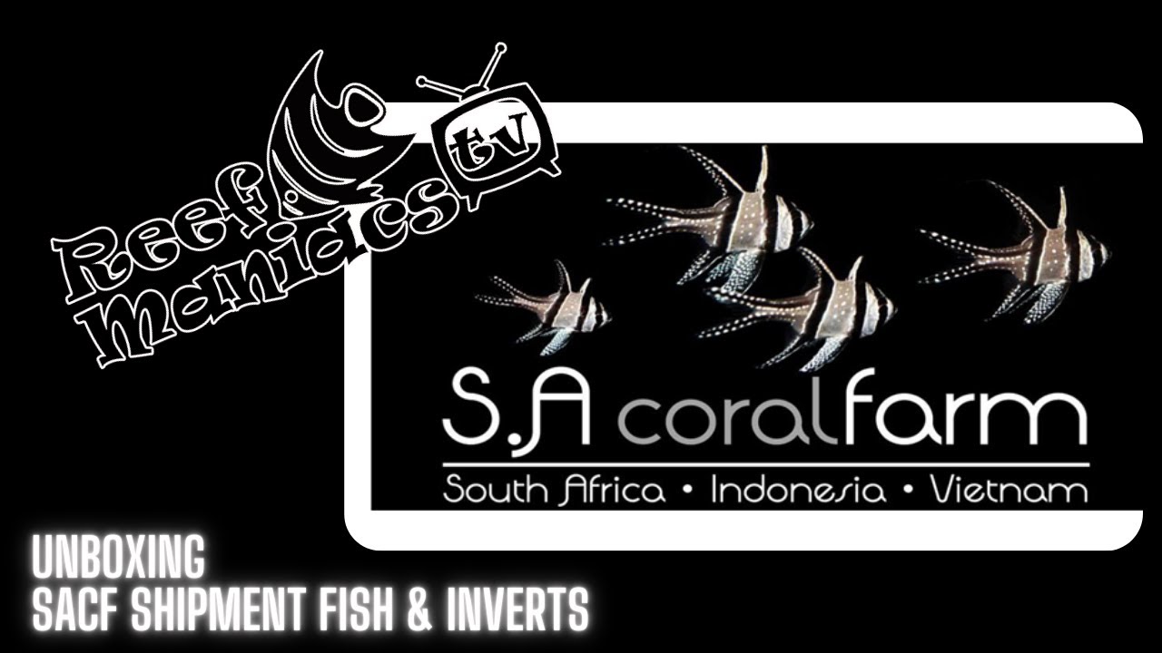 Unboxing SACF Shipment Fish and Inverts