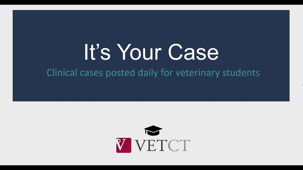 It's Your Case - Day 16 ( 2.5 yo MN Mixed breed dog with stranguria for 1 week and 1 day of dysuria)