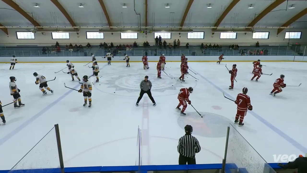 Hanover at Manchester Hockey 260208