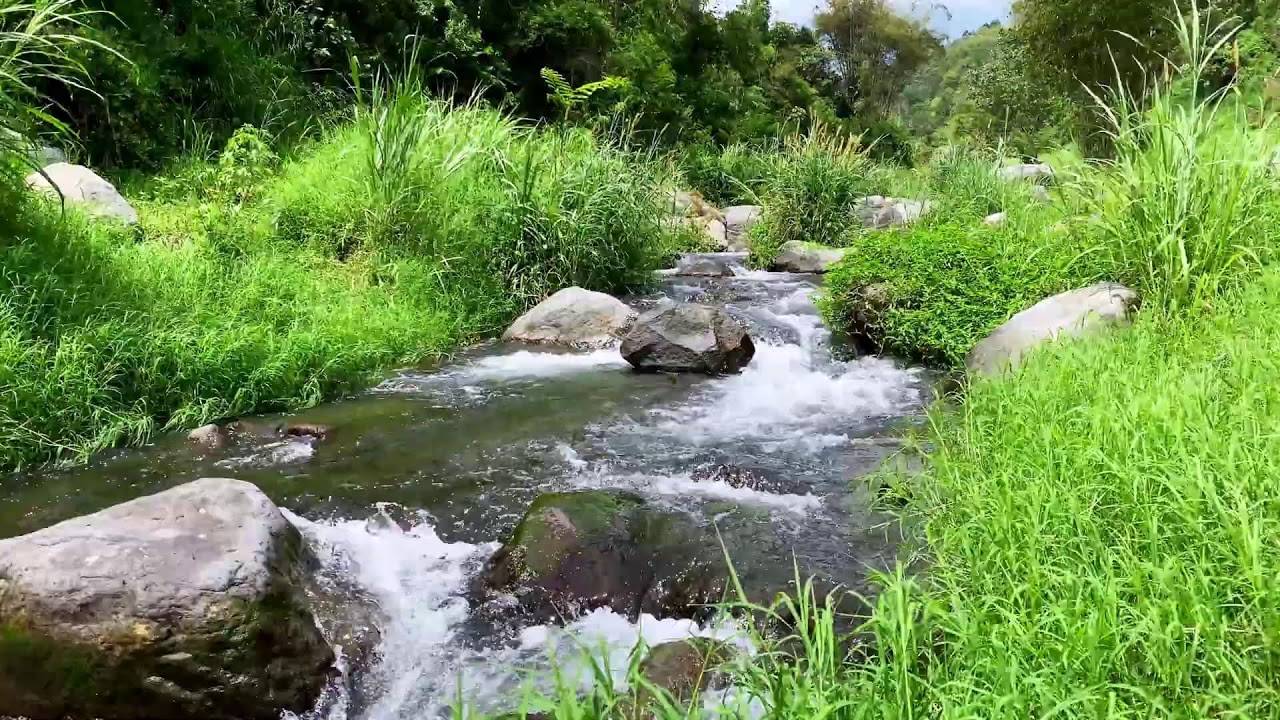 Tranquil River Flow – 10 Hours of Water ASMR  - Stress, Anxiety Relief & Meditation Sounds