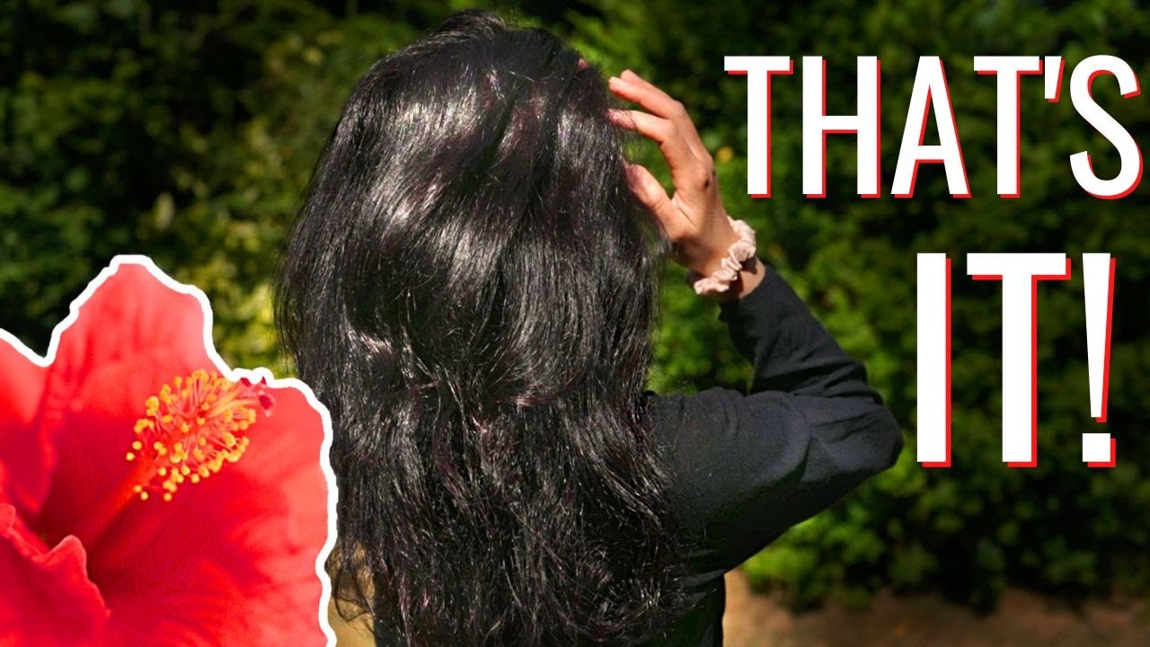 Fresh Hibiscus Leaves Gel for Hair Experiment | Conditioning Treatment | Jamila Henna Hair Colouring