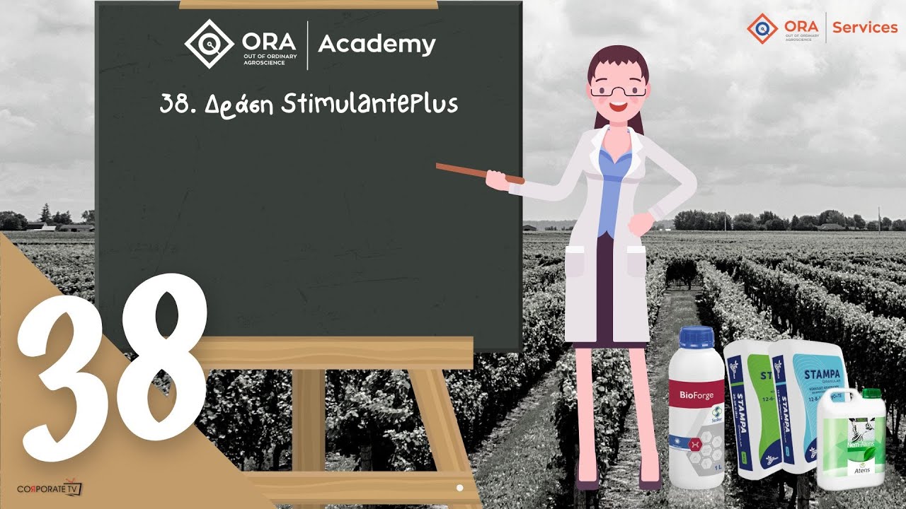 Q&A 38 | &Pi;&omicron;&iota;&alpha; &Epsilon;ί&nu;&alpha;&iota; &eta; &Delta;&rho;ά&sigma;&eta; &tau;&omicron;&upsilon; Stimulante Plus &sigma;&tau;&alpha; &Sigma;&tau;ά&delta;&iota;&alpha; &tau;&eta;&sigmaf; &Alpha;&nu;&theta;&omicron;&phi;&omicron;&rho;ί&alpha;&sigmaf; &kappa;&alpha;&iota; &tau;&eta;&sigmaf; &Kappa;&alpha;&rho;&pi;ό&delta;&epsilon;&sigma;&eta;&sigmaf;;