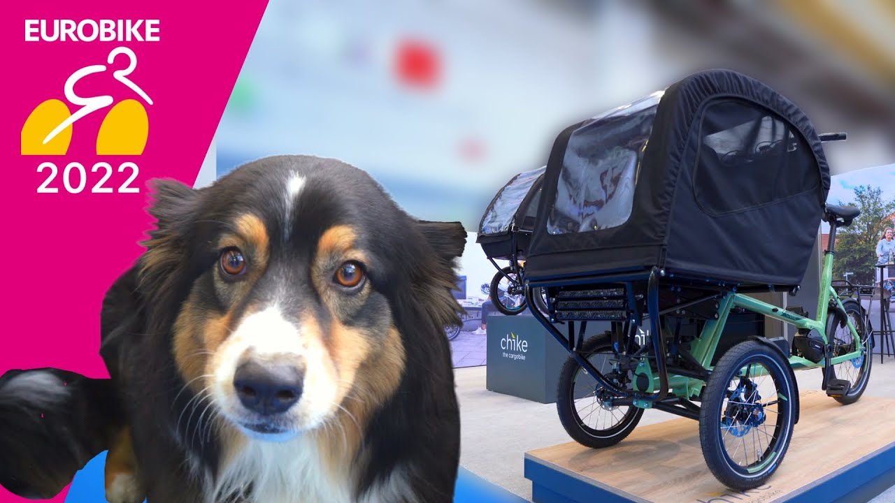 Mit Hund komfortabel im Alltag herumdüsen? Das Chike E-Dog ist ein vielversprechendes Konzept!