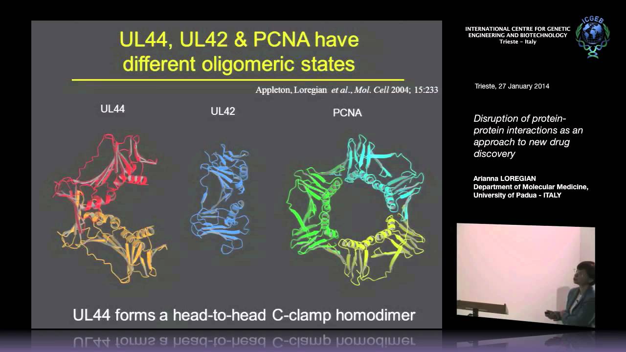 A. Loregian - Disruption of protein-protein interactions as an approach to new drug discovery