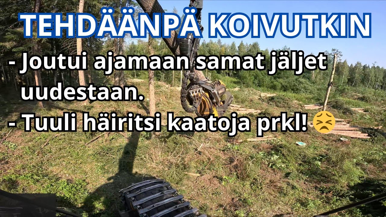Koivut polttopuiksi ja tuuli perhana meinaa kuuset viedä. Ponsse Scorpion K H7 AC FC