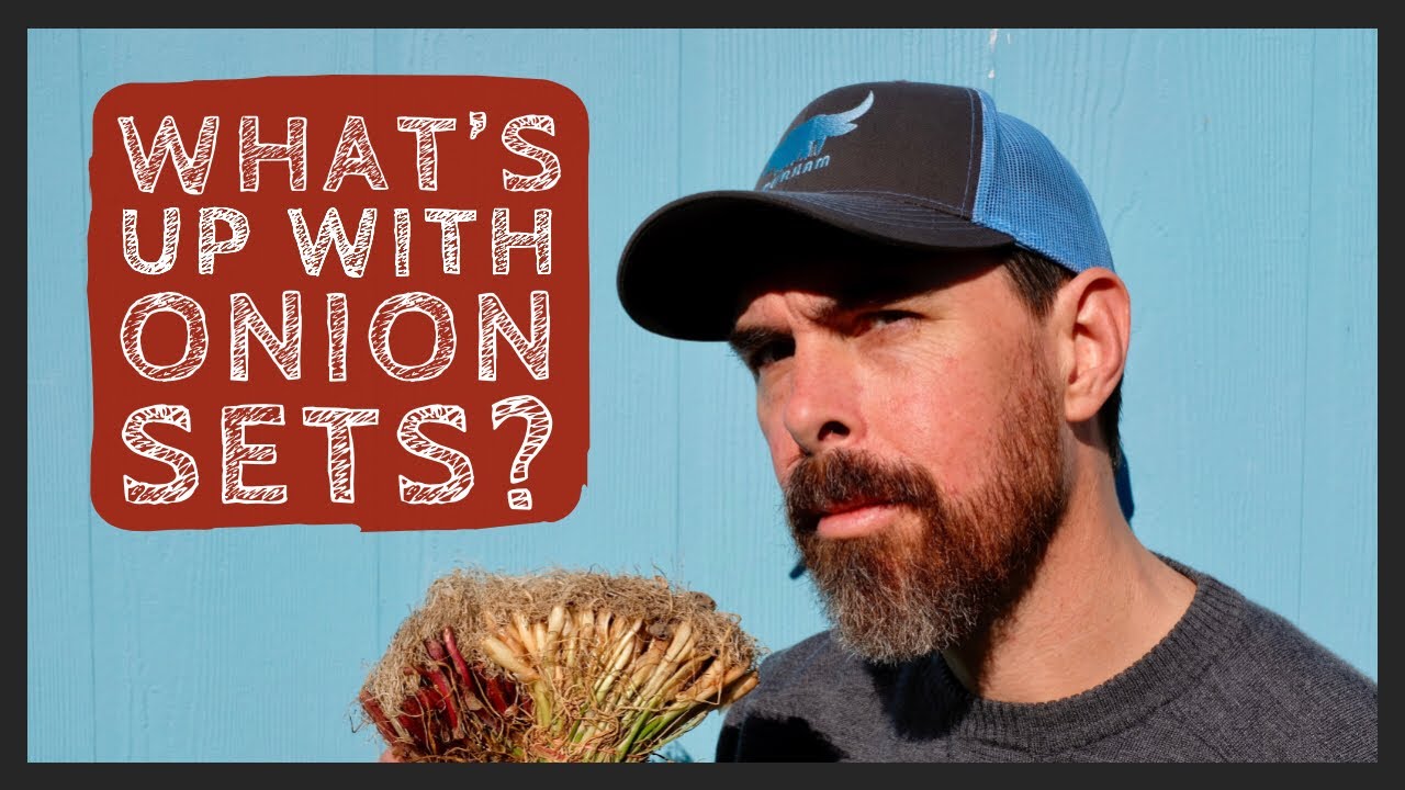 HOW TO PLANT ONIONS IN A RAISED GARDEN BED