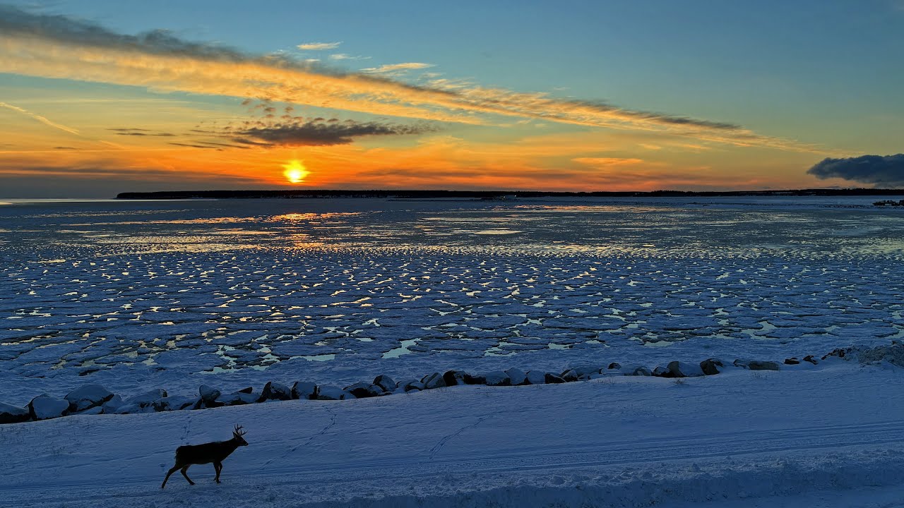 Souper de Noël d'Anticosti 2025