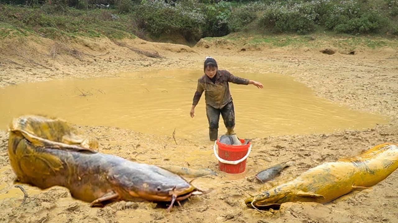 Giant, unusual fish caught in a wild natural swamp and brought to market surprises everyone.