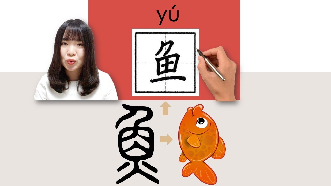 【NEW HSK2】_#HSK2#_How to Pronounce/Say/Write:鱼/魚/(fish) Chinese Vocabulary/Character/Radical