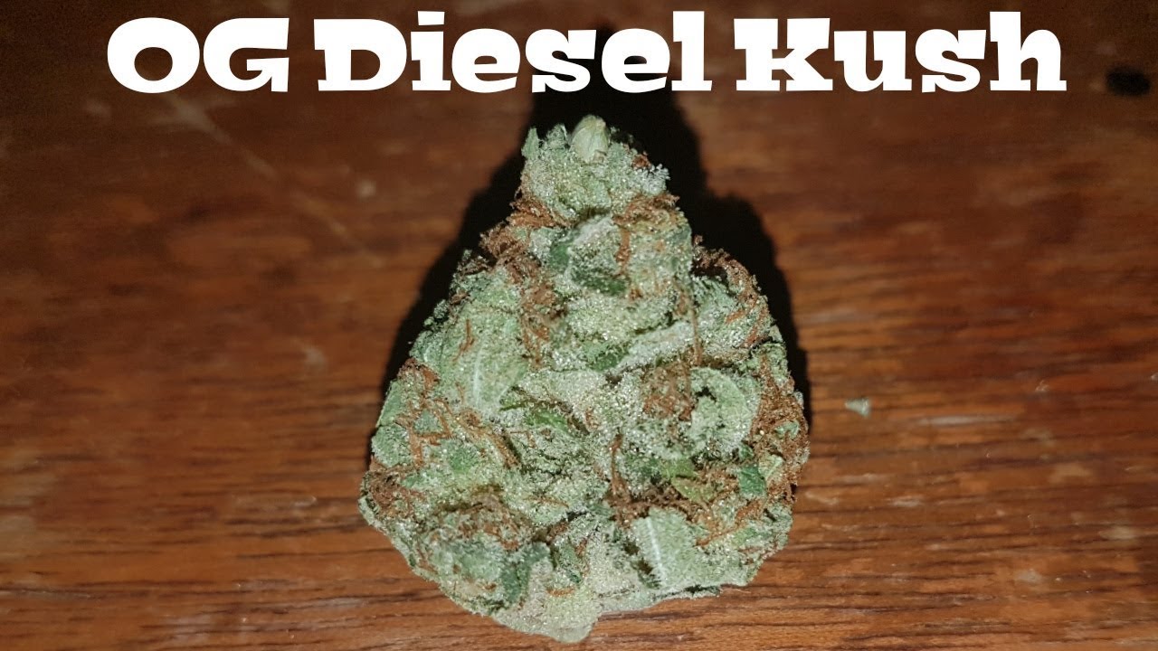 Strain Review - OG Diesel Kush